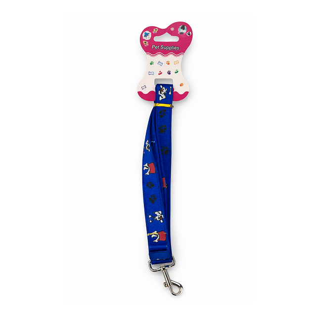 cosmic blue walk leash