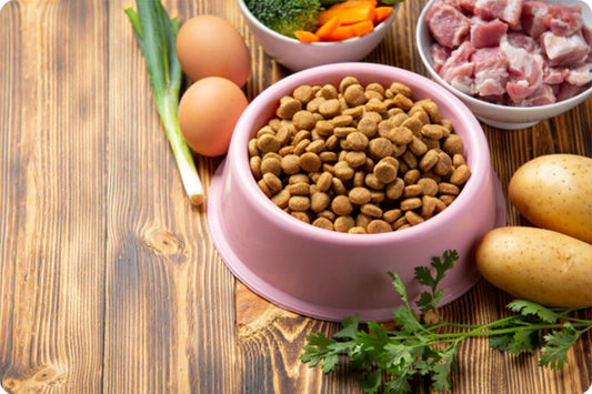 Essential Nutrients Dogs and Cats Often Miss at Home