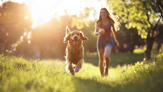 Summer Walks: Timing Matters More Than You Think