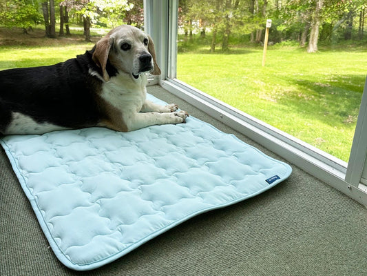 Cooling Mat for Dogs: Hype or Genuine Must-Have?