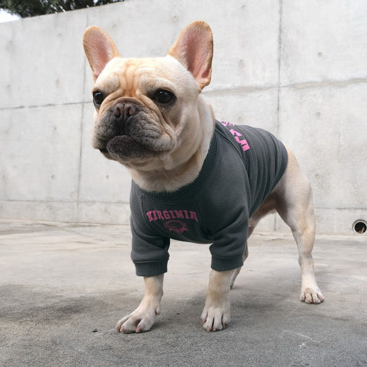 Choosing the Right Clothes for Dogs in India: A Practical Guide