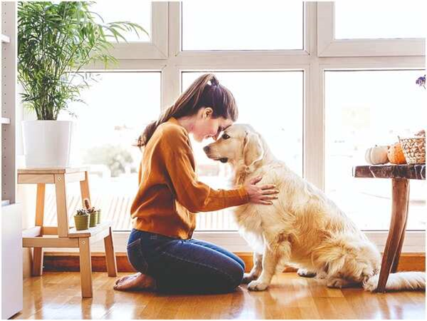 Thinking of Adopting a Pet? What You Must Know First
