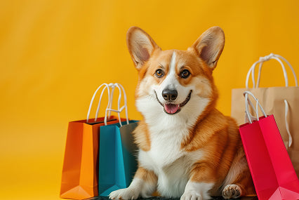 Pet Food Labels in India: What You’re Really Feeding Your Pet