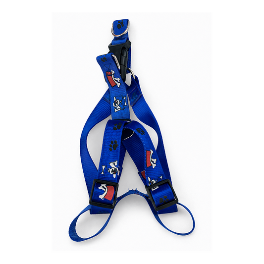 Galaxy Paws Walk Harness
