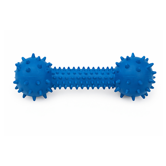 Ocean Spike Chew Bone