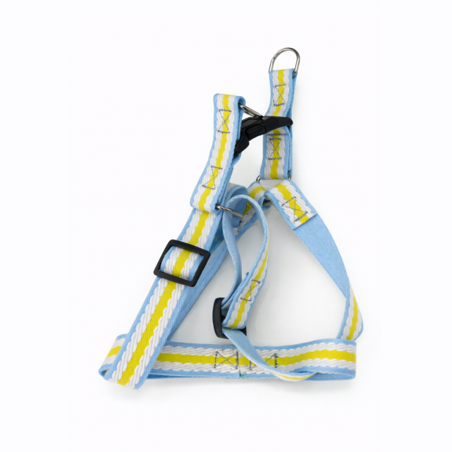 pastel pathways blue comfort harness
