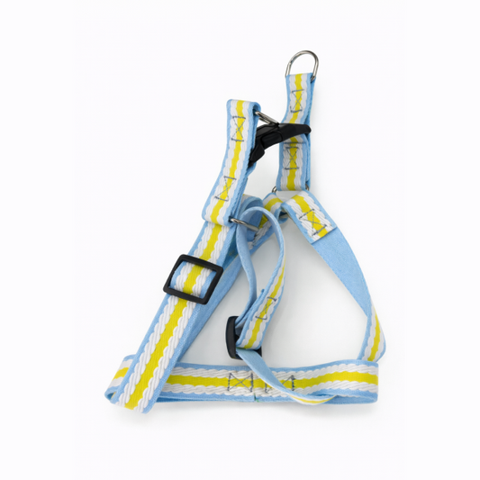 Pastel Pathways Blue Comfort Harness