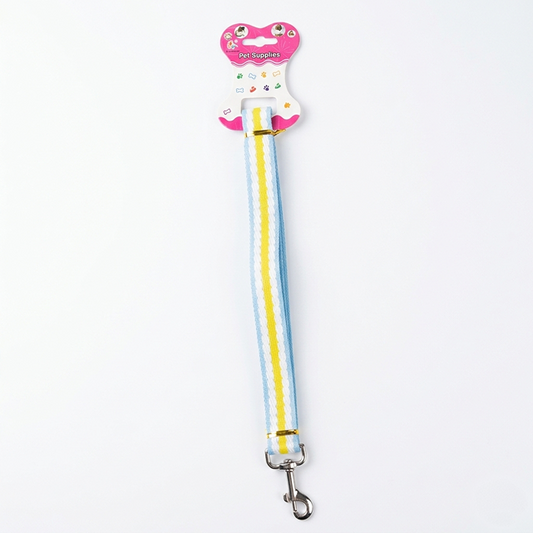 Pastel Pathways Blue Walk Leash