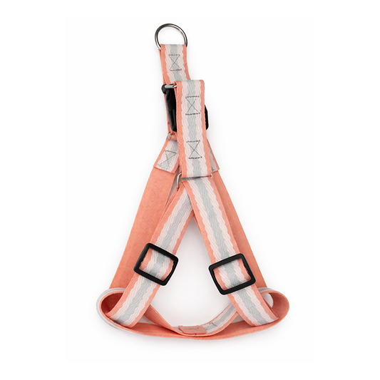 Pastel Pathways Peach Comfort Harness