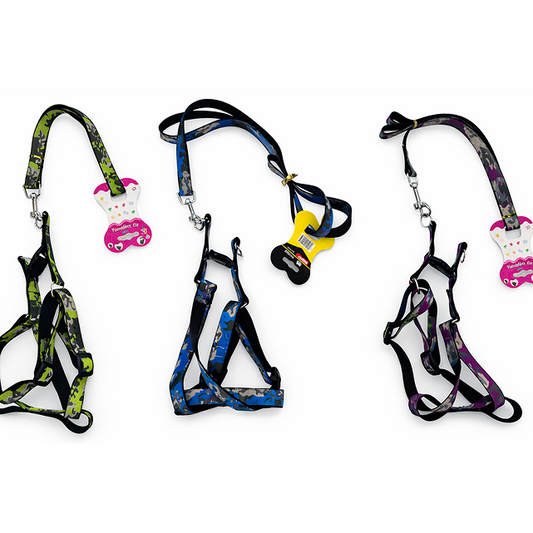 Pawfect Match Walk Set