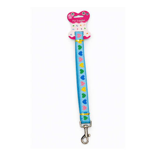 Rainbow Breeze Walk Leash