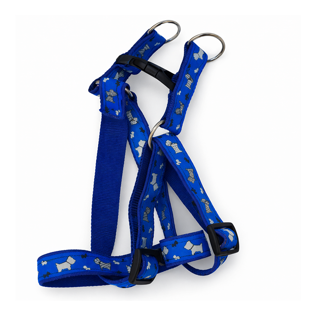 royal blue paw walk harness