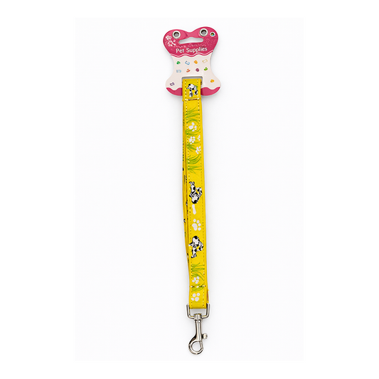 Sunshine Trails Walk Leash